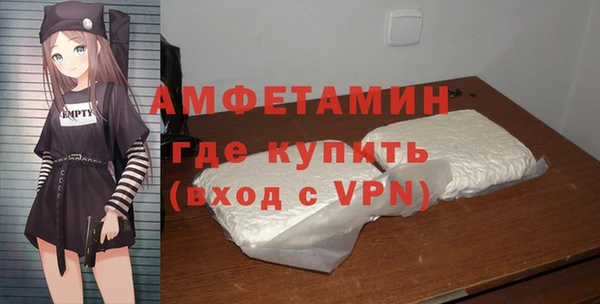 молекула духа Арсеньев