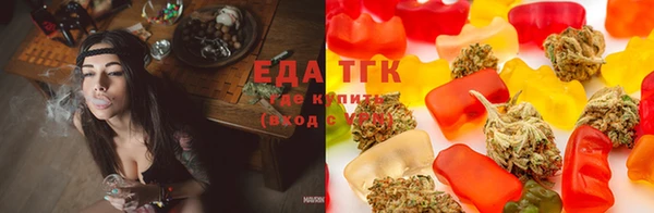 хмурый Аркадак