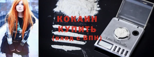 хмурый Аркадак