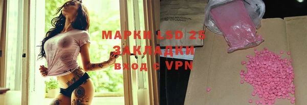 хмурый Аркадак