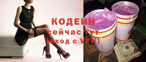 молекула духа Арсеньев