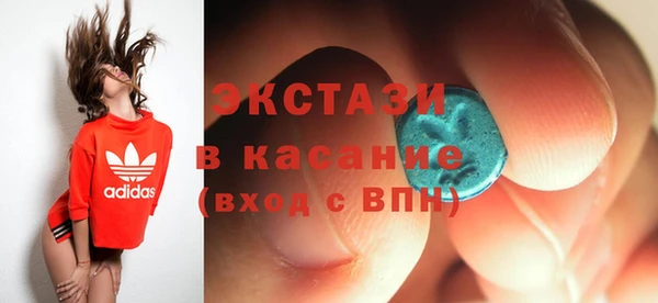 хмурый Аркадак