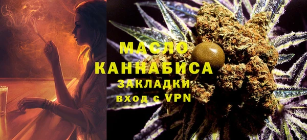 молекула духа Арсеньев