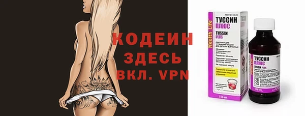 молекула духа Арсеньев
