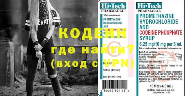 хмурый Аркадак