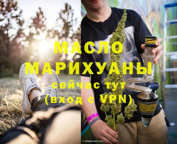 молекула духа Арсеньев