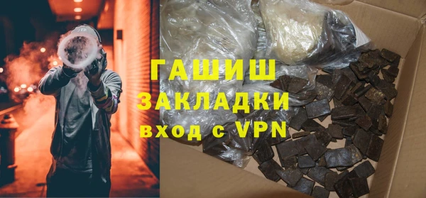 хмурый Аркадак