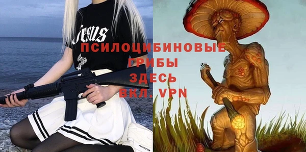 молекула духа Арсеньев