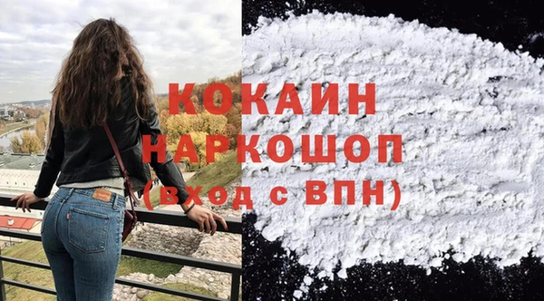 хмурый Аркадак
