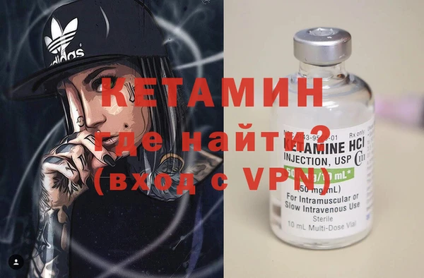 хмурый Аркадак
