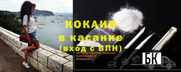 хмурый Аркадак