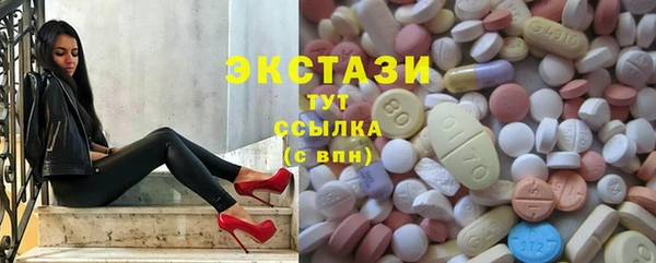 хмурый Аркадак
