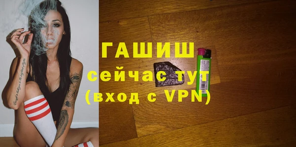 хмурый Аркадак
