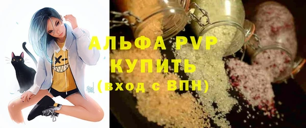 хмурый Аркадак