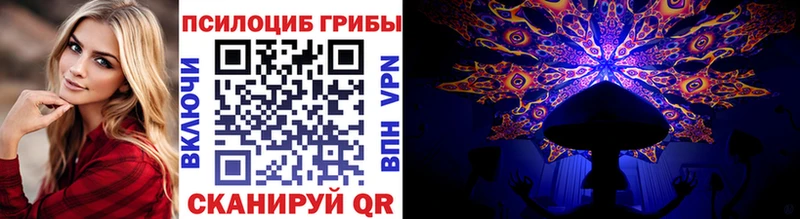 Псилоцибиновые грибы Psilocybine cubensis  Горно-Алтайск 