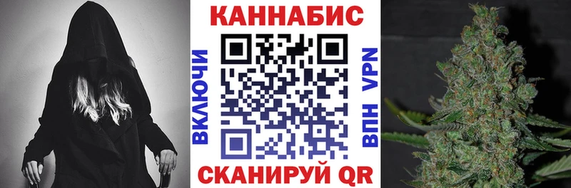 mega зеркало  купить наркотики цена  Горно-Алтайск  Каннабис SATIVA & INDICA 